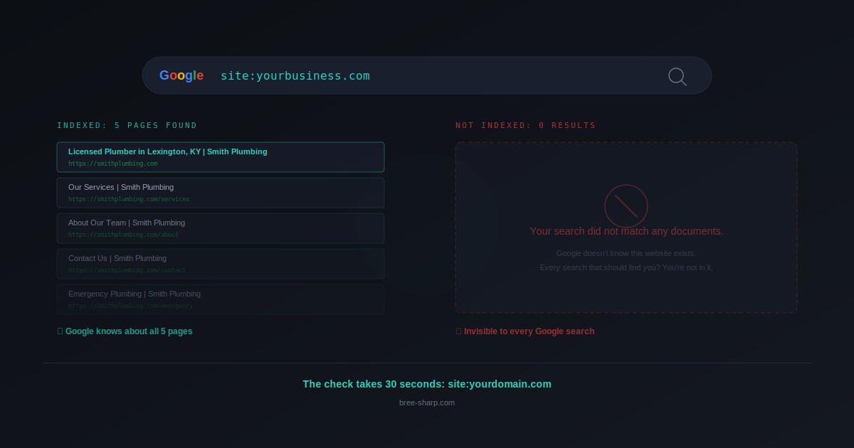 Dark editorial illustration showing a Google search bar with site:yourdomain.com typed in — contrasting a result showing indexed pages versus zero results found