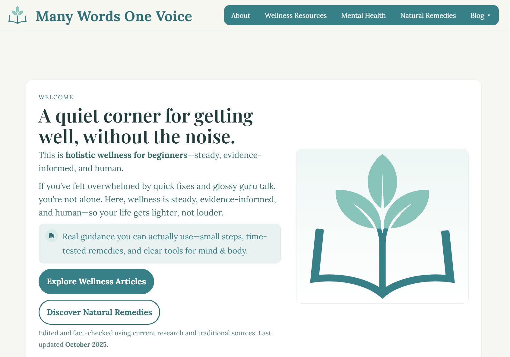 WordPress website homepage